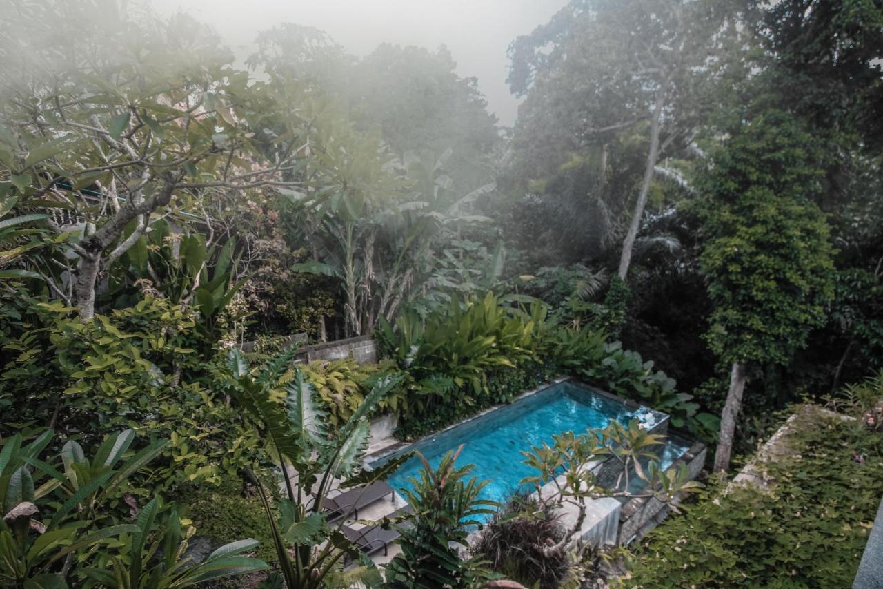 Aji Lodge Bungalow Ubud Extérieur photo