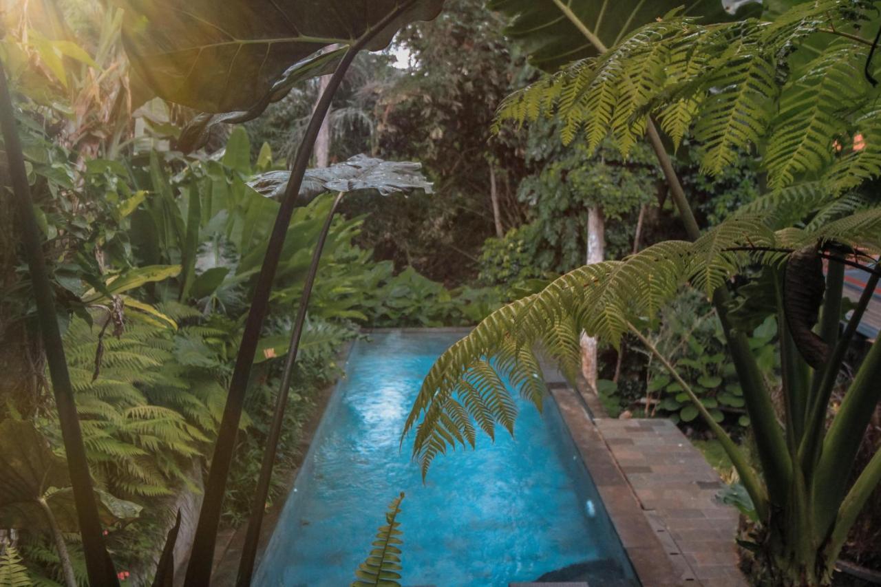 Aji Lodge Bungalow Ubud Extérieur photo
