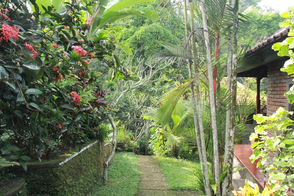 Aji Lodge Bungalow Ubud Extérieur photo