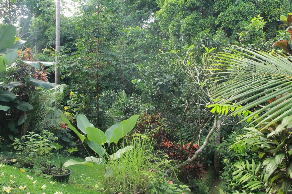 Aji Lodge Bungalow Ubud Chambre photo